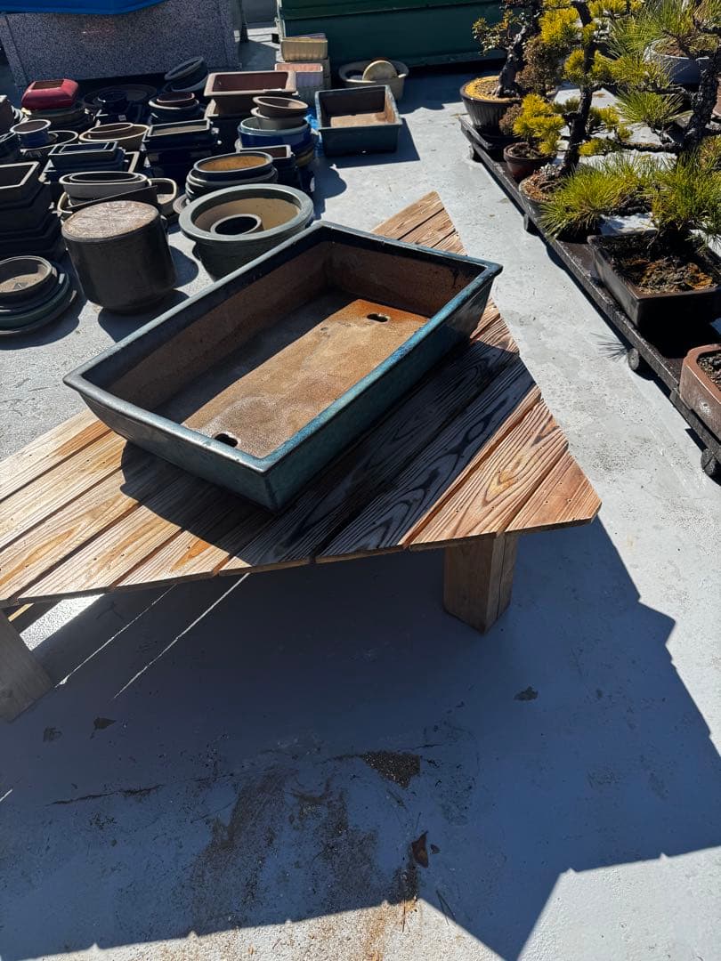 青色 陶器製 盆栽用鉢 22号