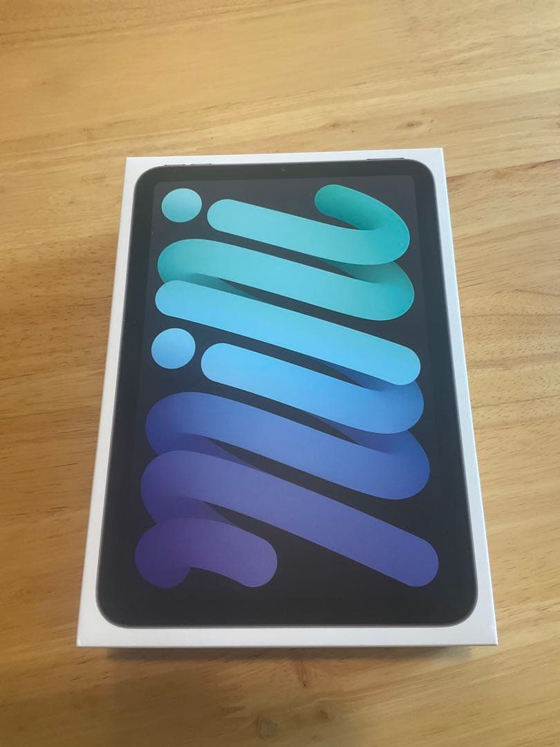 iPad本体 ipad mini6 256GB Cellular apple care