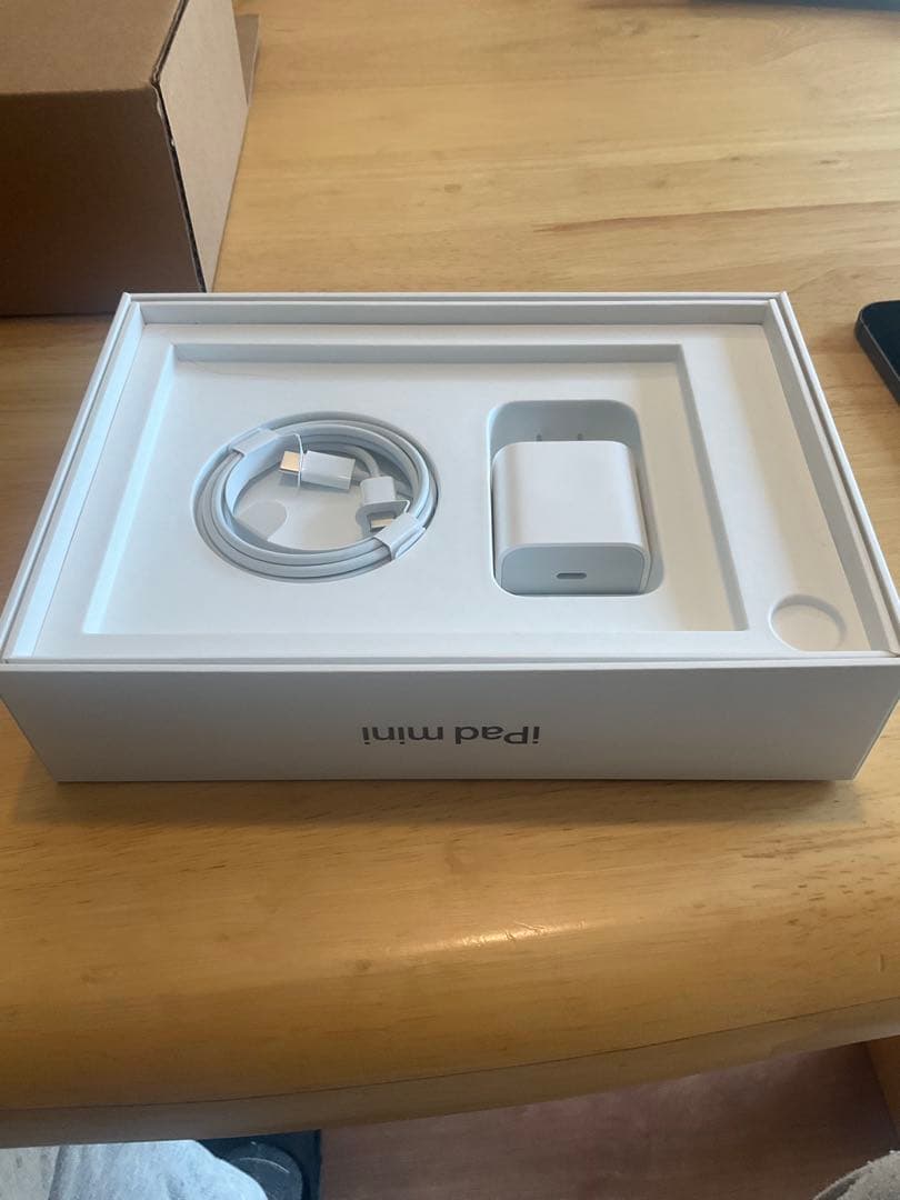 iPad本体 ipad mini6 256GB Cellular apple care