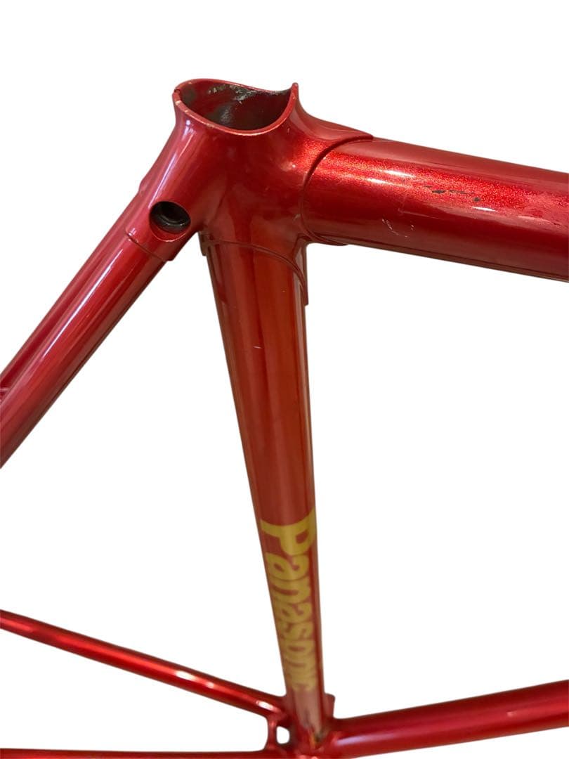 Panasonic ピストフレーム 競輪　NJS