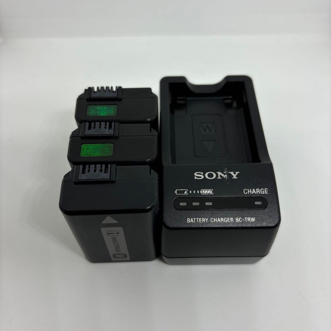 α7S 美品 3,998回 バッテリー3個 SONY ILCE-7S ボディ