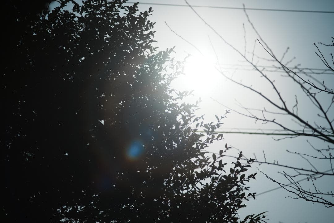 【Lレンズ級】Canon FD 100mm F2.8 S.S.C 899