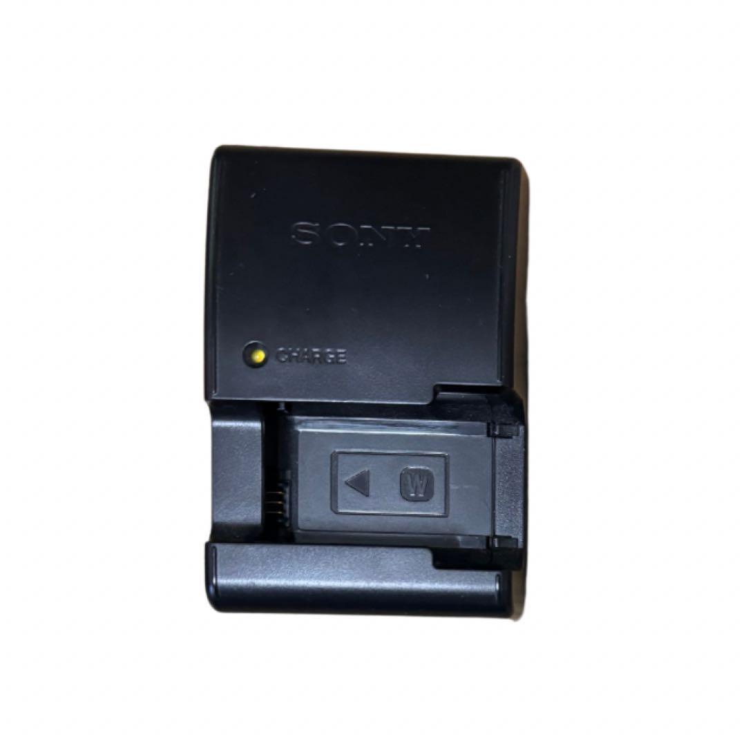 SONY α33 ソニー　SLT-A33 デジタル一眼レフカメラ