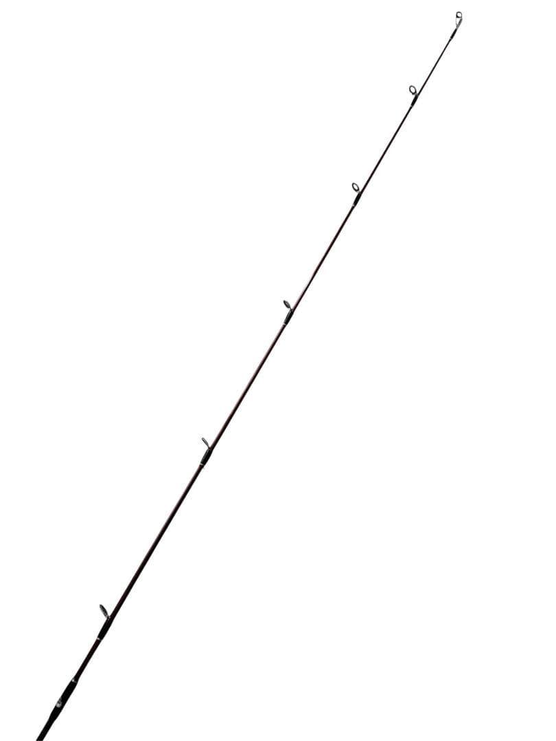【極美品】Fishman Beams blancsierra 5.2UL