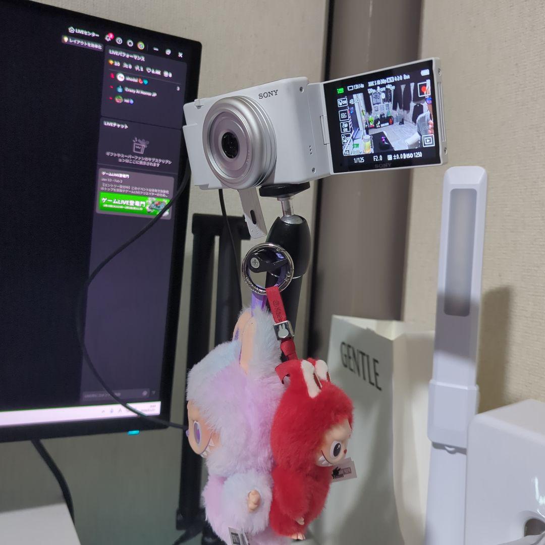 ソニー Vlog用カメラ / デジタルカメラ