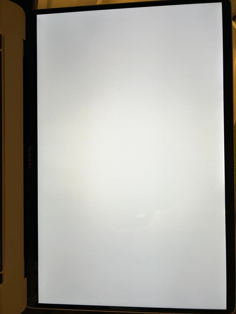 【美品】MacBook Pro 16インチ 2019 i9 16GB 1TB