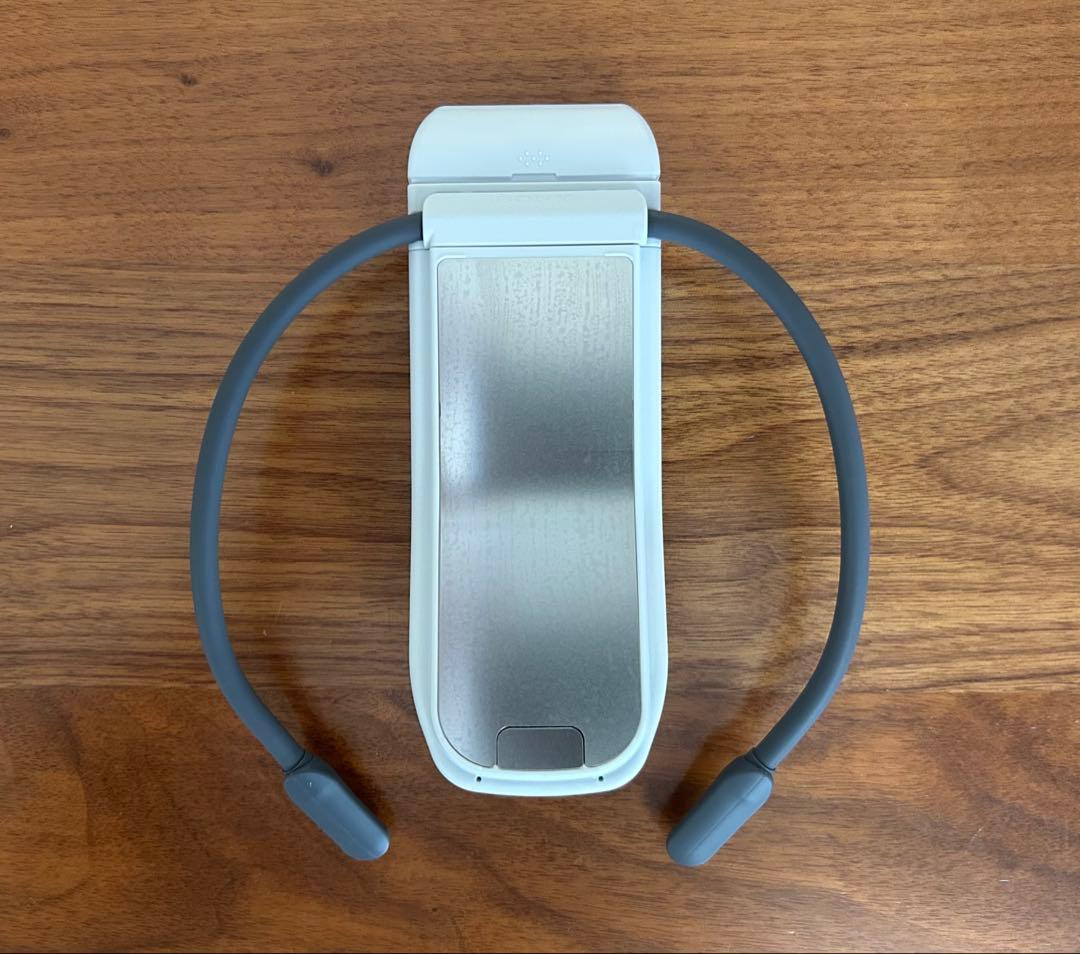 SONY REON POCKET PRO 2025年7月購入。