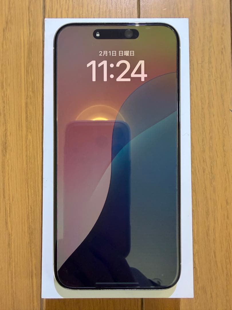 iPhone 15Pro Max 256GB ホワイト 【超美品】