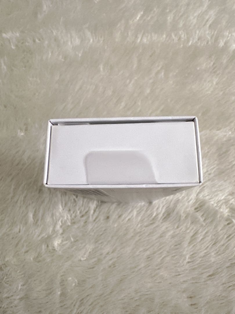 Apple Pencil アップルペンシル 第2世代 A2051