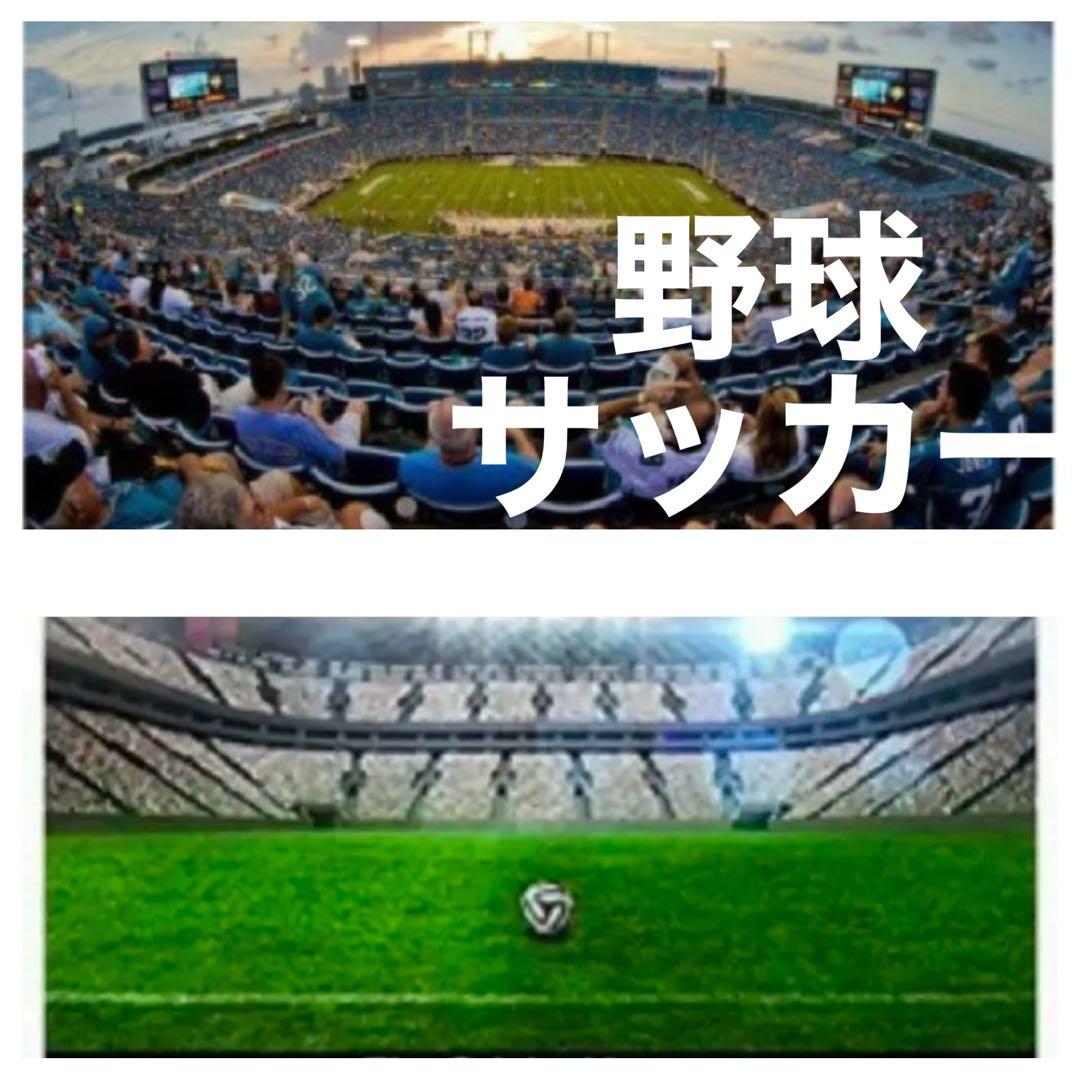 購入はお早めに！期間限定！SONYミラーレスカメラ対応！αシリーズに装着！MF