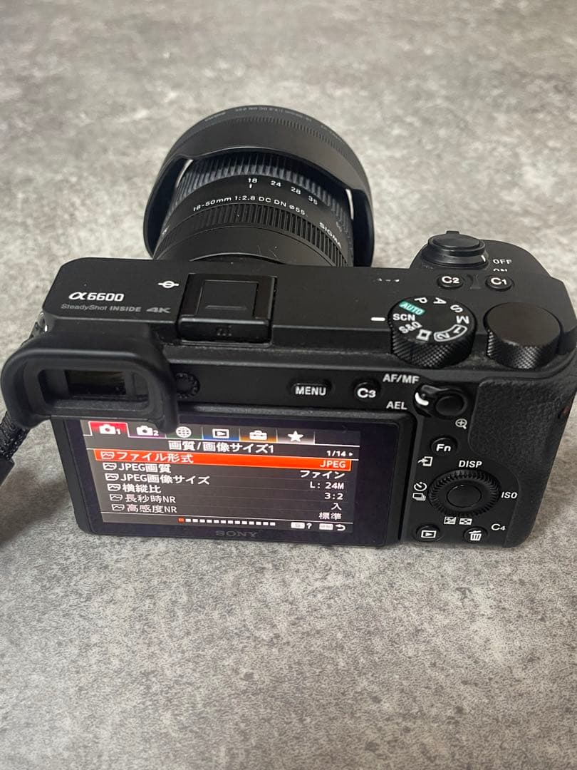 SONY α6600 ilce-a6600 ボディ 本体+SIGMA レンズ込み