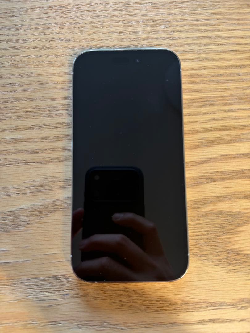 Apple iPhone 14 Pro 1TB 本体