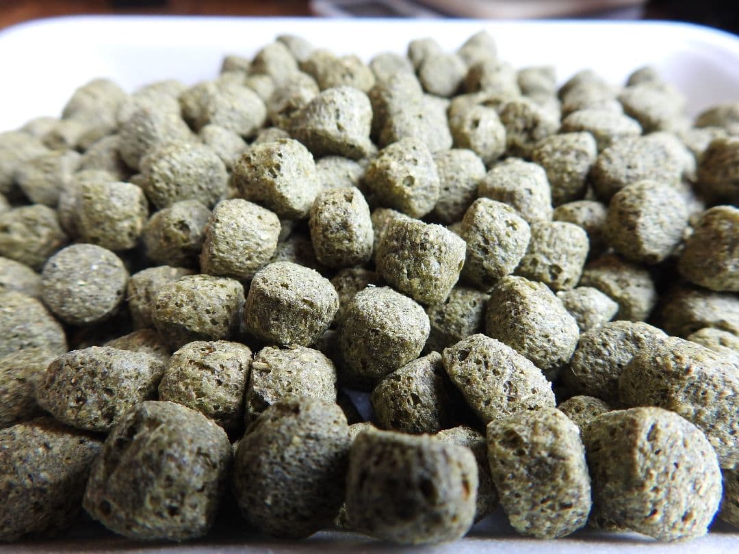 送料無料【アヒル、コールダック用飼料】10kg大袋