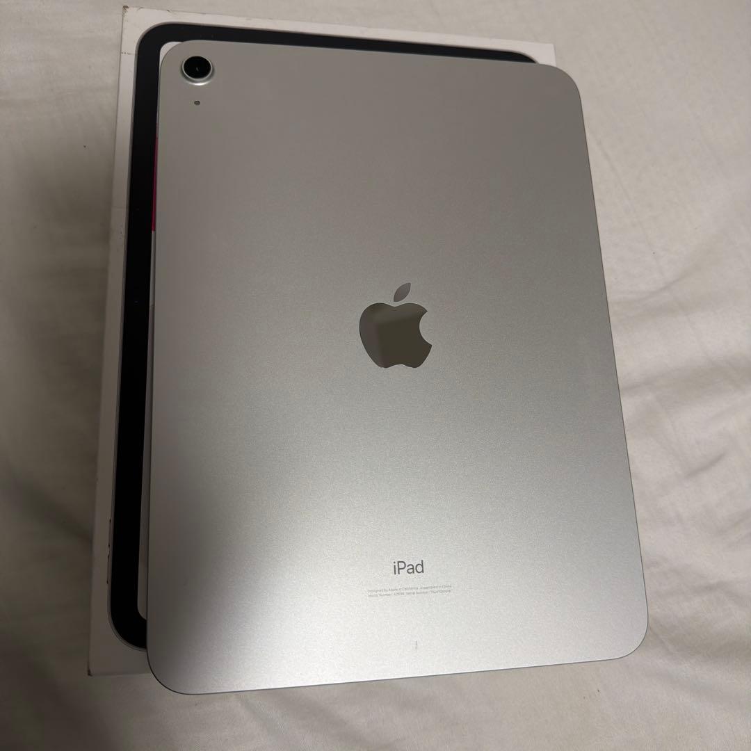 もも 第10世代 iPad 256GB