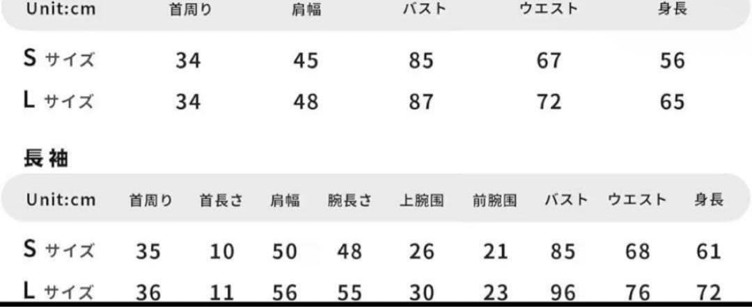 筋肉スーツ　袖ありファスナー付きLサイズ