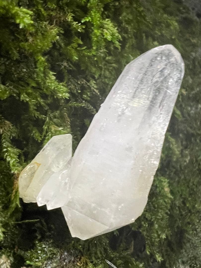 龍脈の精髄 九州産両剣水晶＋クラスター付き＋虹入り 【保護猫活動支援】