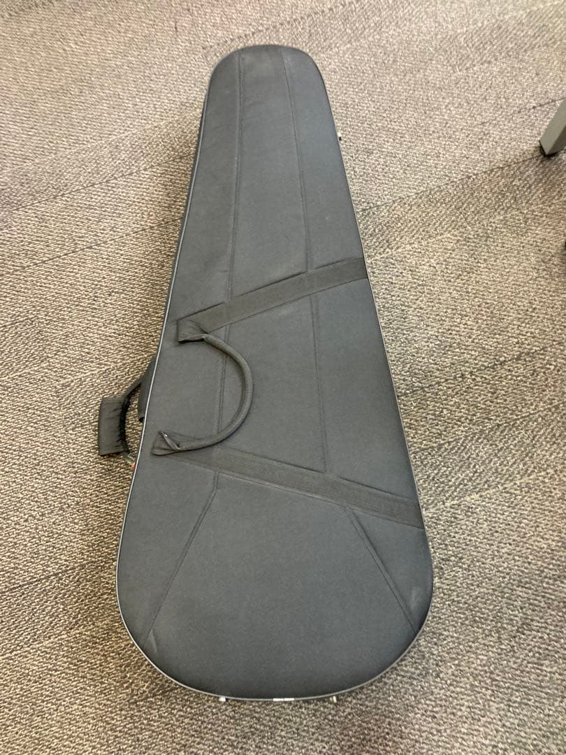 超レア、ヴィンテージギター ブルーリッジの限定モデル「BR-2060」価値有り‼️