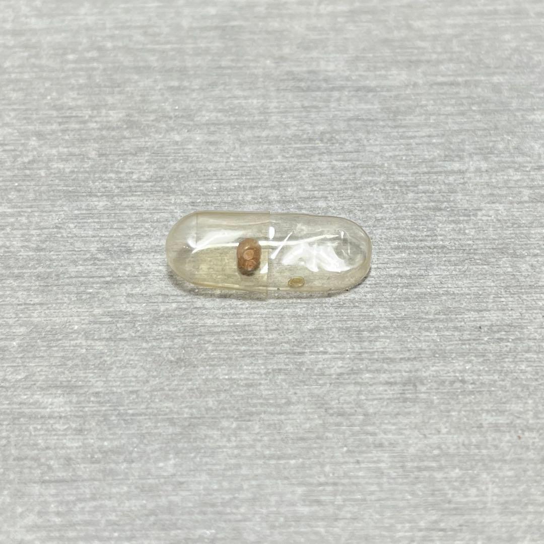 m*g様 ラスト1点　激レア　美品　大分県産　蓋付き　オンセンゴマツボ