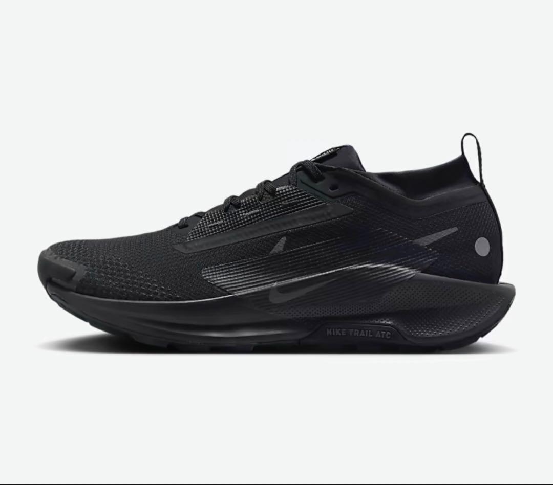 ナイキ ペガサス トレイル 5 GORE-TEX 27.5㎝