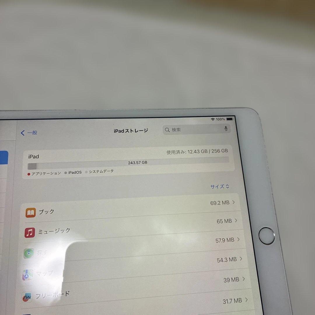 ジャンク★iPad Pro 10.5インチ 256GB/Appleペンシル付き