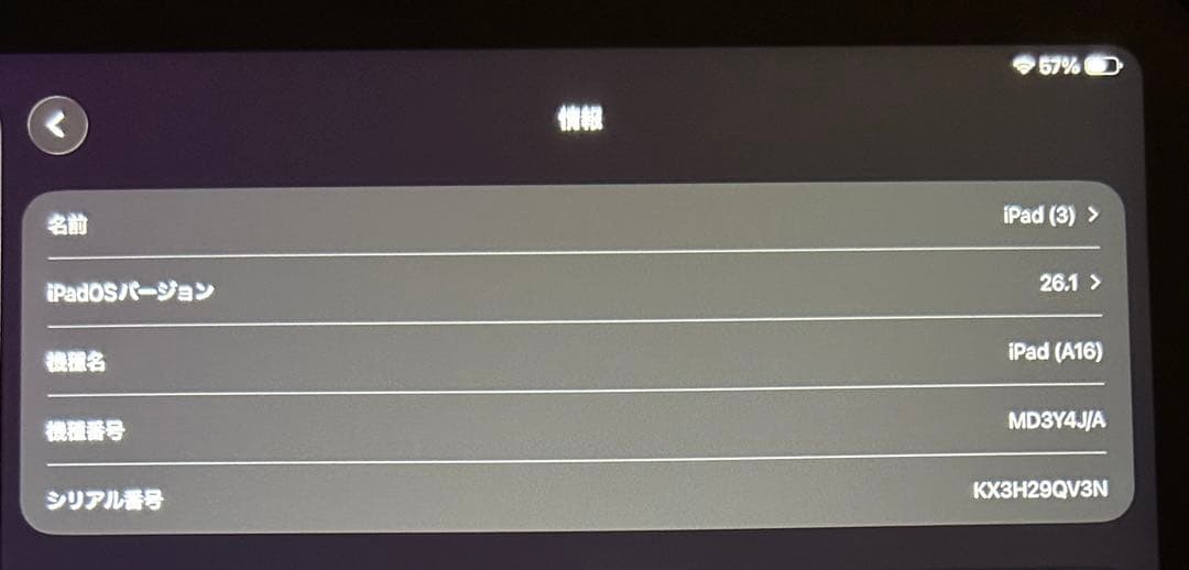 美品　Apple iPad11 (A16)
