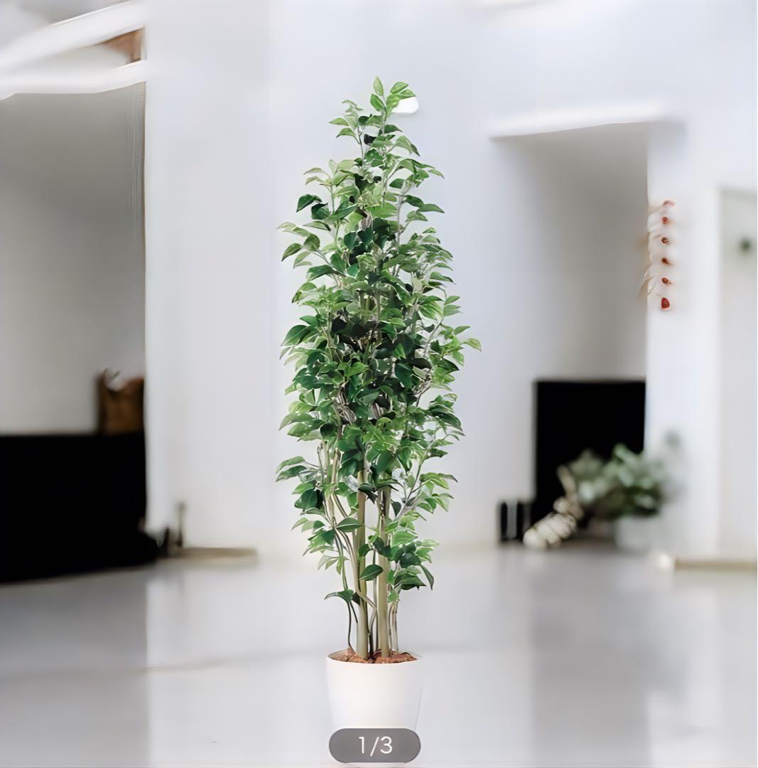 光触媒　人工観葉植物　ウォールグリーン　フェイクグリーン　ベンジャミンスリム15