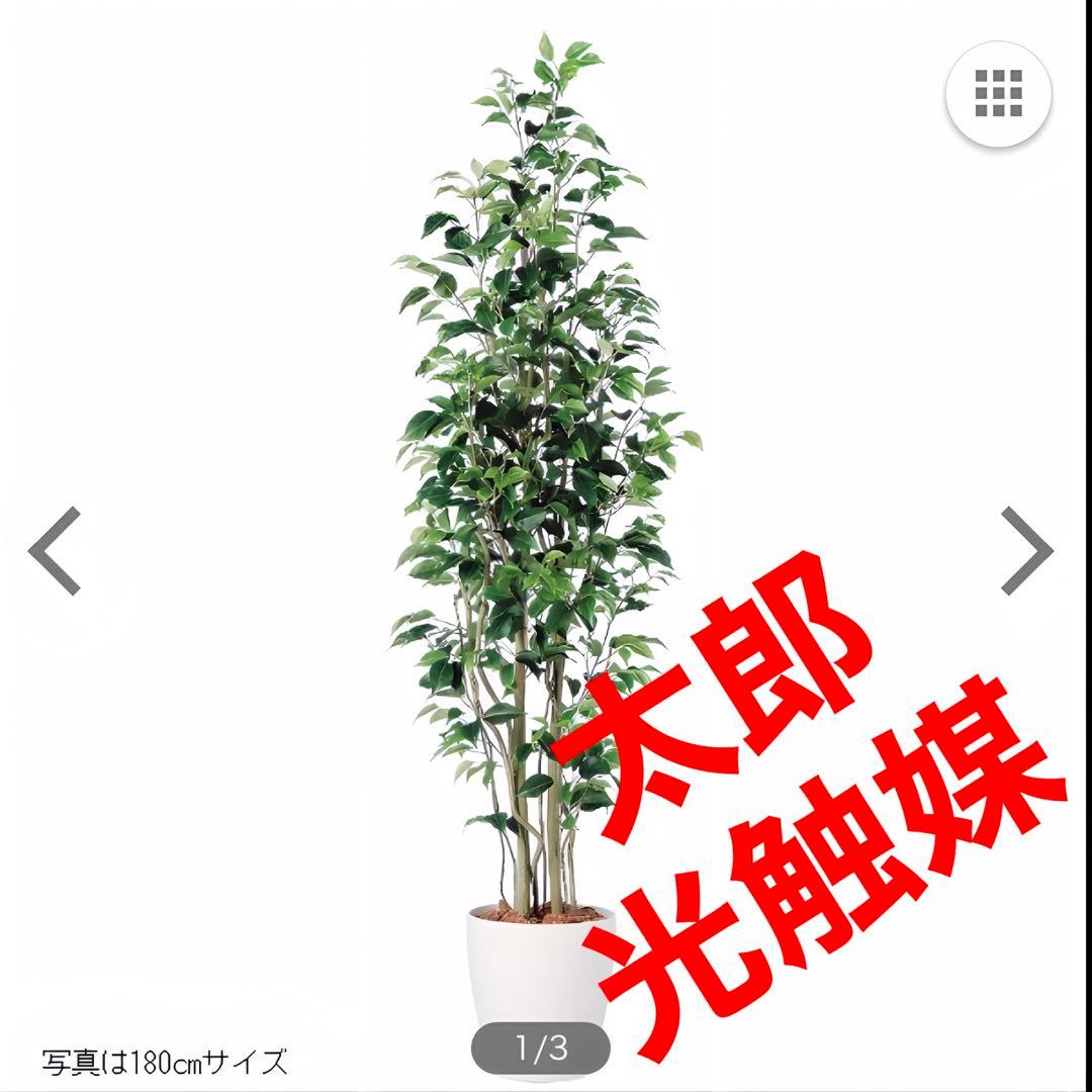 光触媒　人工観葉植物　ウォールグリーン　フェイクグリーン　ベンジャミンスリム15