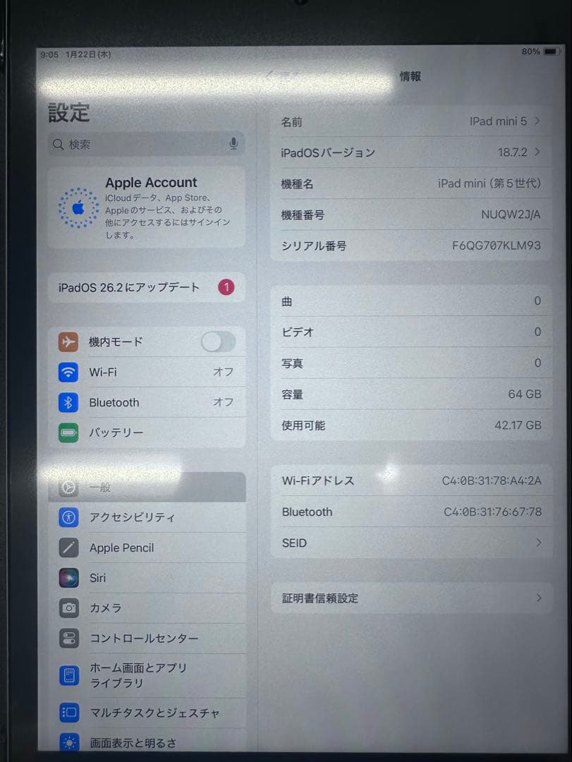 リオ様】Apple iPad mini 5 64GB