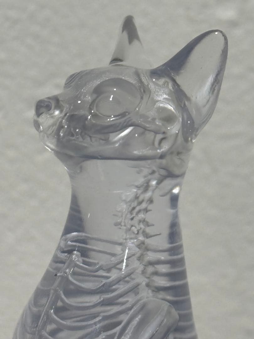 ネコ　骨　置物