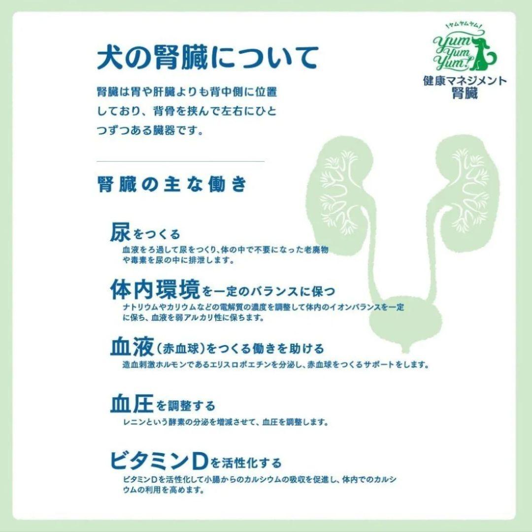 yumyumyum！ ヤムヤムヤム！ 健康マネジメント 腎臓 1.3kg ４袋