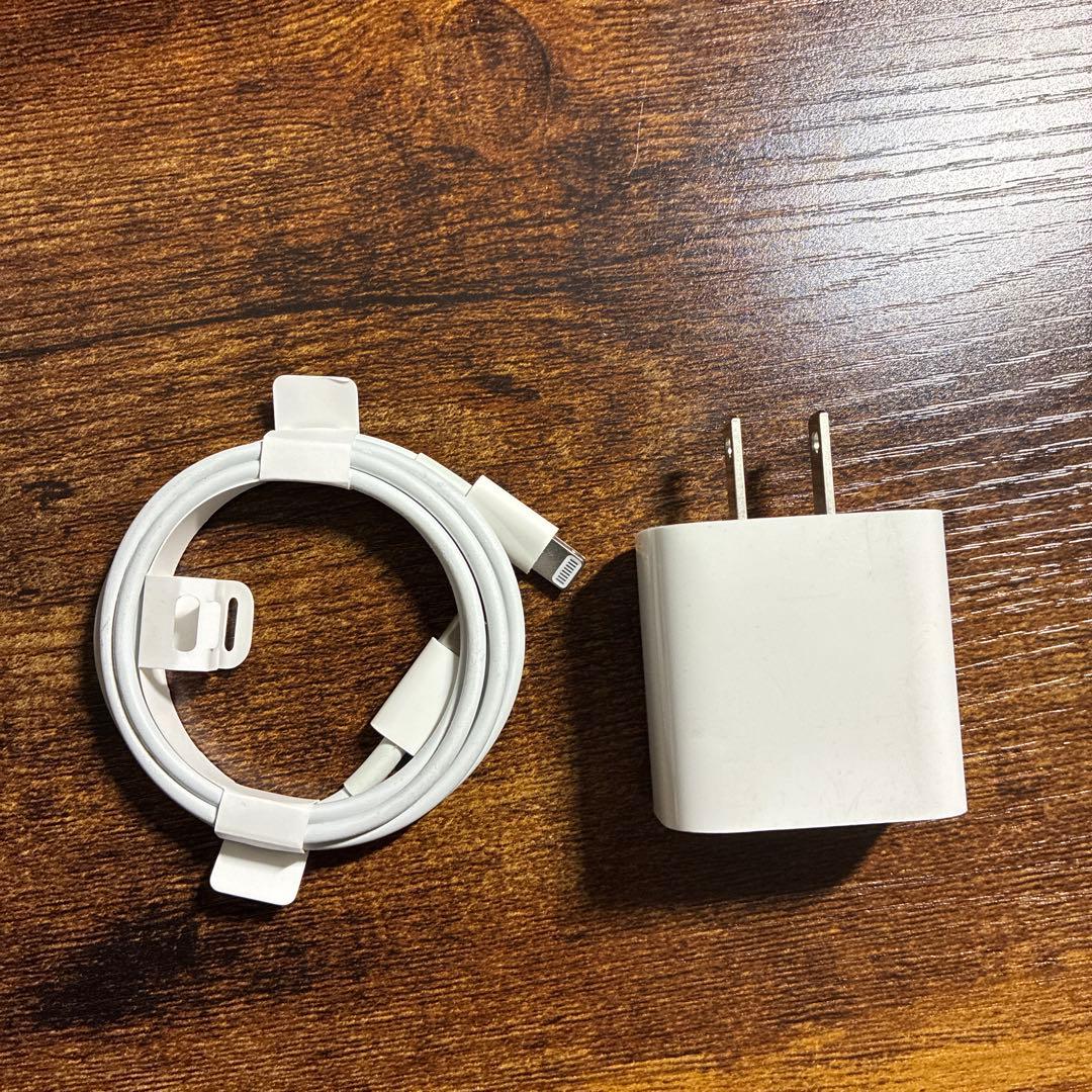iPad第9世代64GB ApplePencil第1世代ESRケース付充電器あり