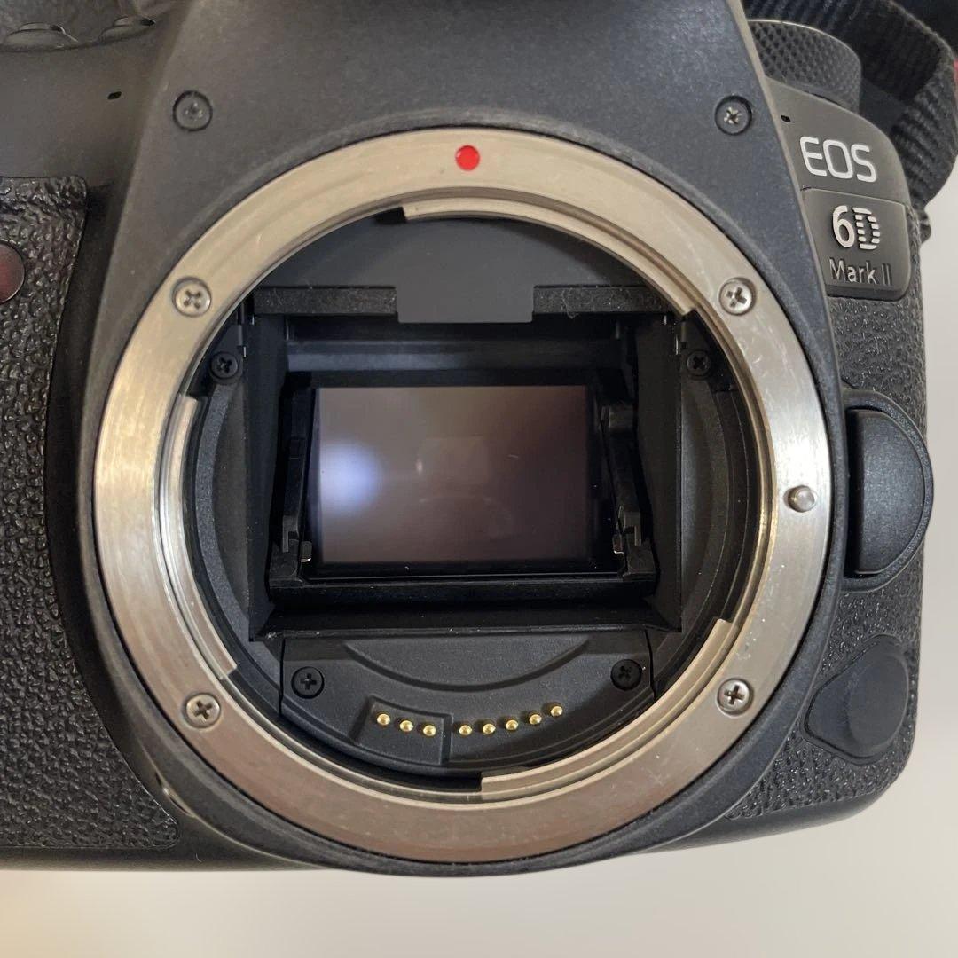 Canon EOS 6D Mark Ⅱ+ 24-70mm レンズ