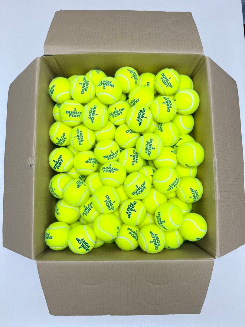 ダンロップフォート172球　中古品