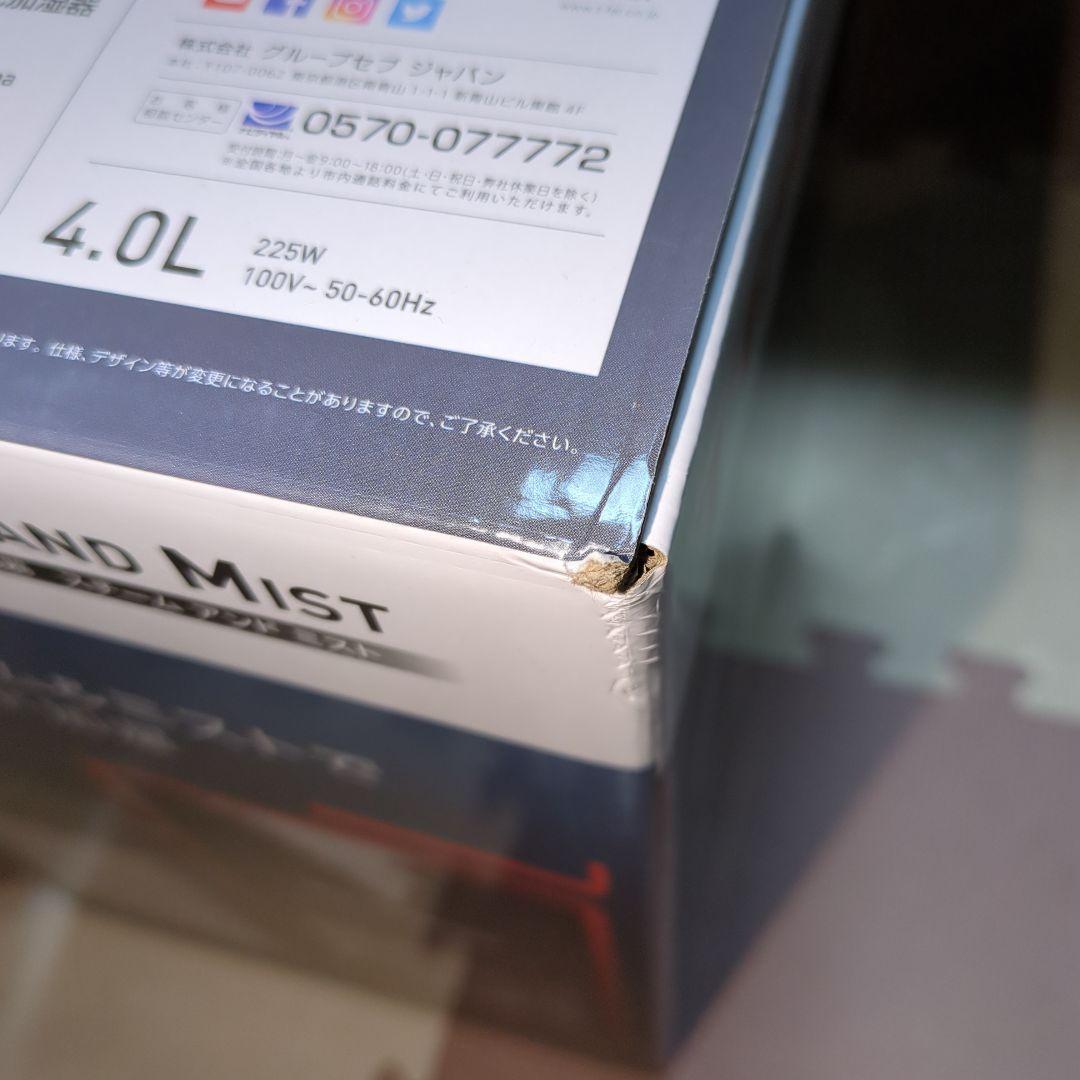 ポケモンマスター　ティファール 　 加熱超音波式加湿器 スチーム &ミスト
