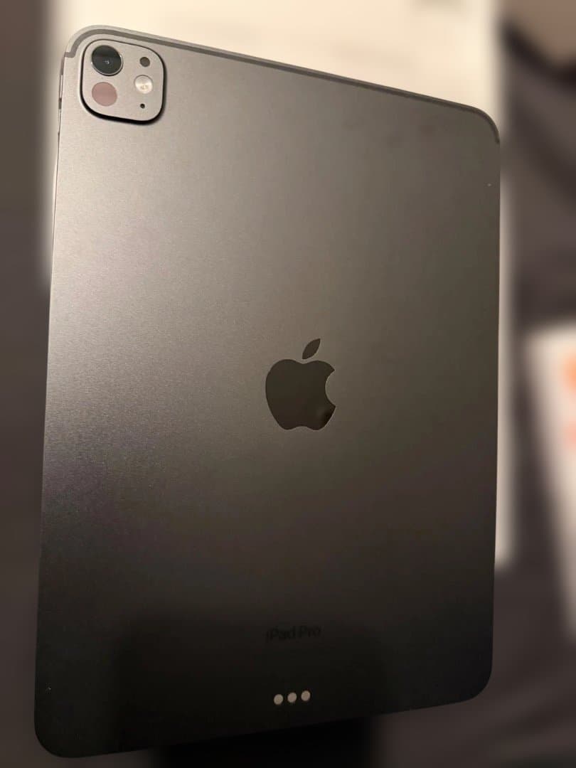 美品 11インチiPad Pro M4 256GB Wi-Fi スペースブラック