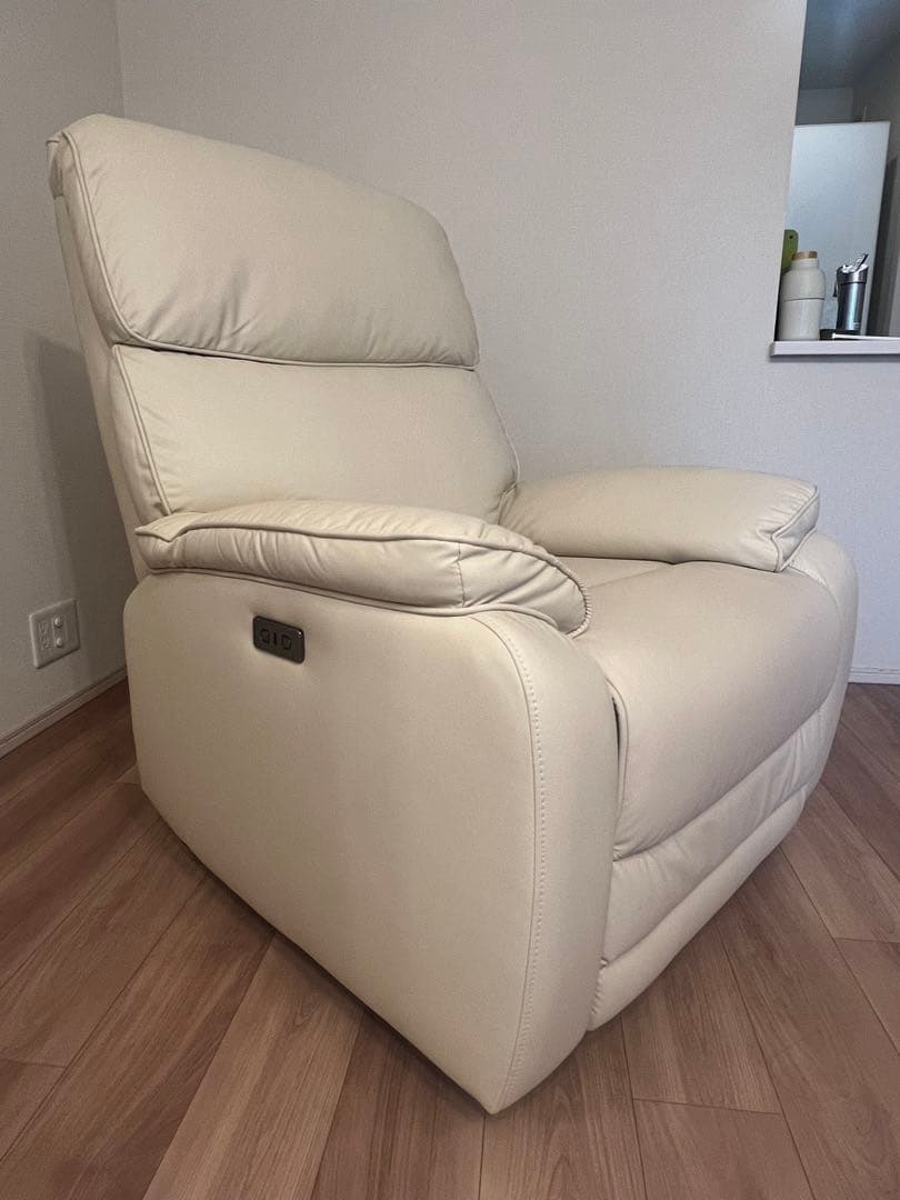 マユゲ犬　Flexispot 電動リクライニングソファ X5