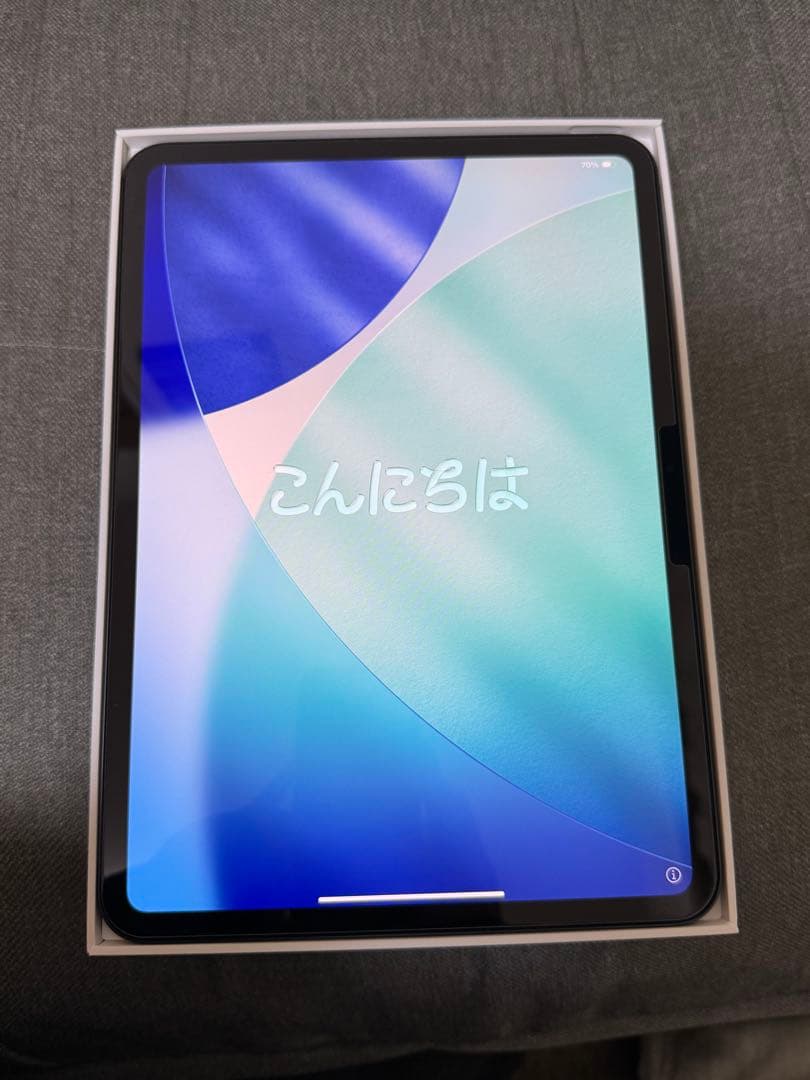 ま*け様 iPad Pro 11インチ M4 256GB スペースグレー WiF