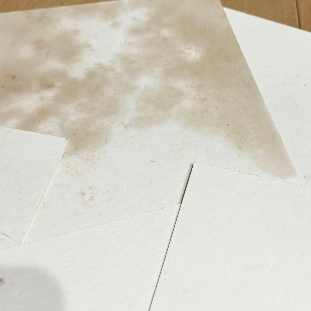 HEAD GRAPHITE COMP XL MID PLUS トリコロールカラー