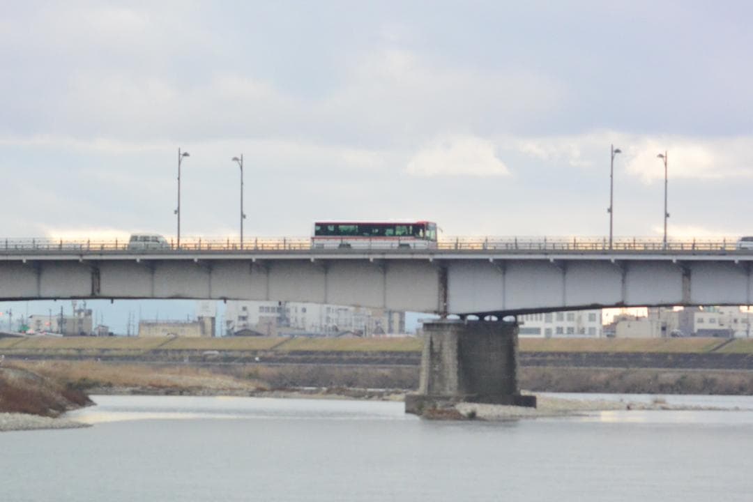 蛇腹デジタルカメラ　手札サイズ　KOKKA　１９５０年