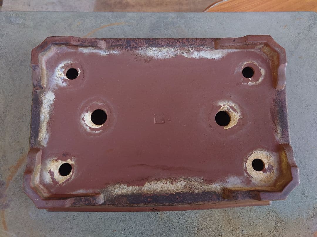 盆栽　鉢　中国宜興　玉芬　幅33.5cm