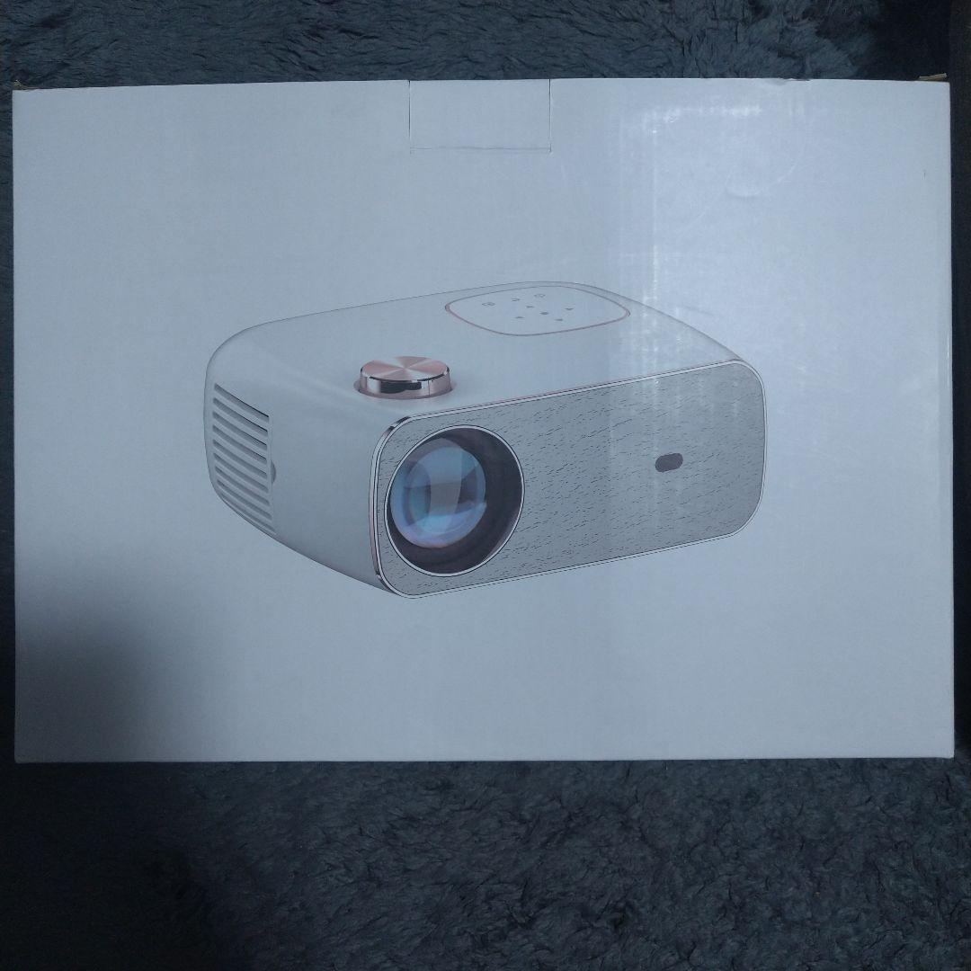 FunFlix プロジェクター RD-882