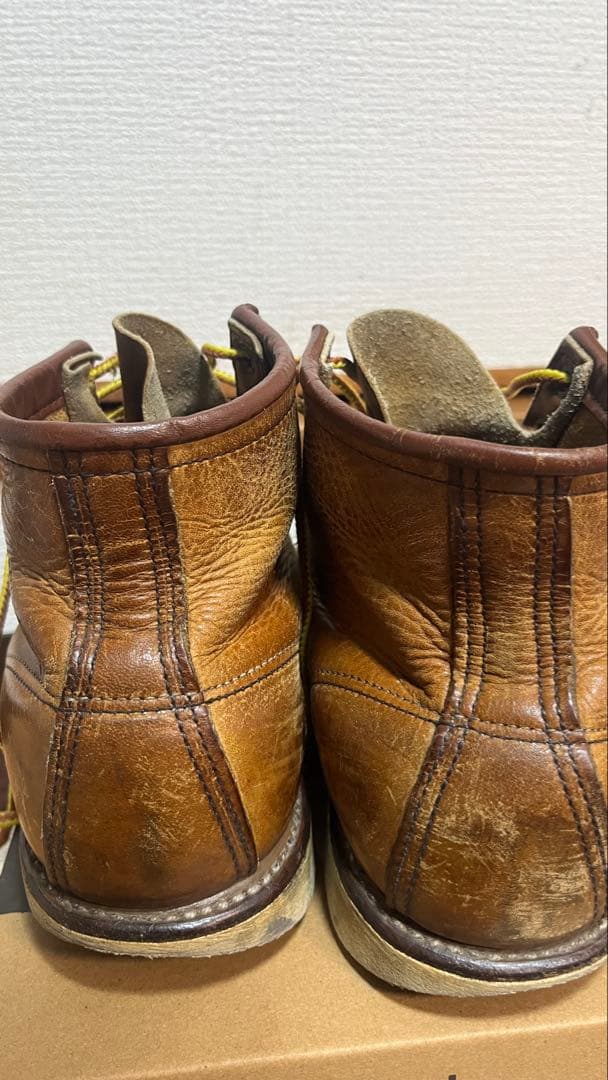 レッドウイング　アイリッシュセッター　8131 26.5