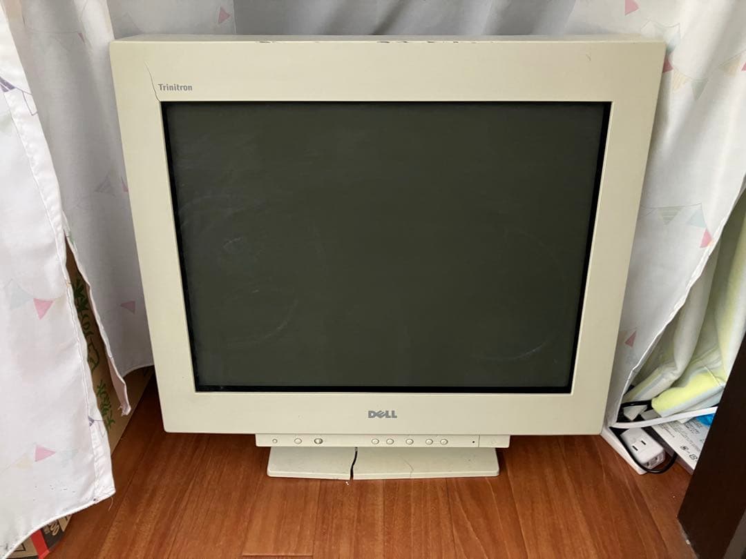 DELL 21インチ Trinitron P1110 CRTモニター　動作確認済