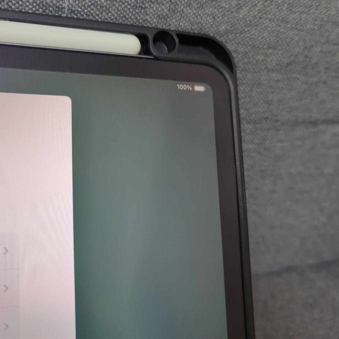 iPad Pro 11\" 第1世代 256 GB+ケース+Apple Pen