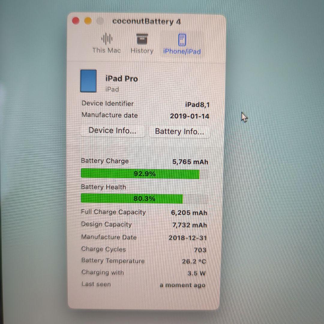 iPad Pro 11\" 第1世代 256 GB+ケース+Apple Pen