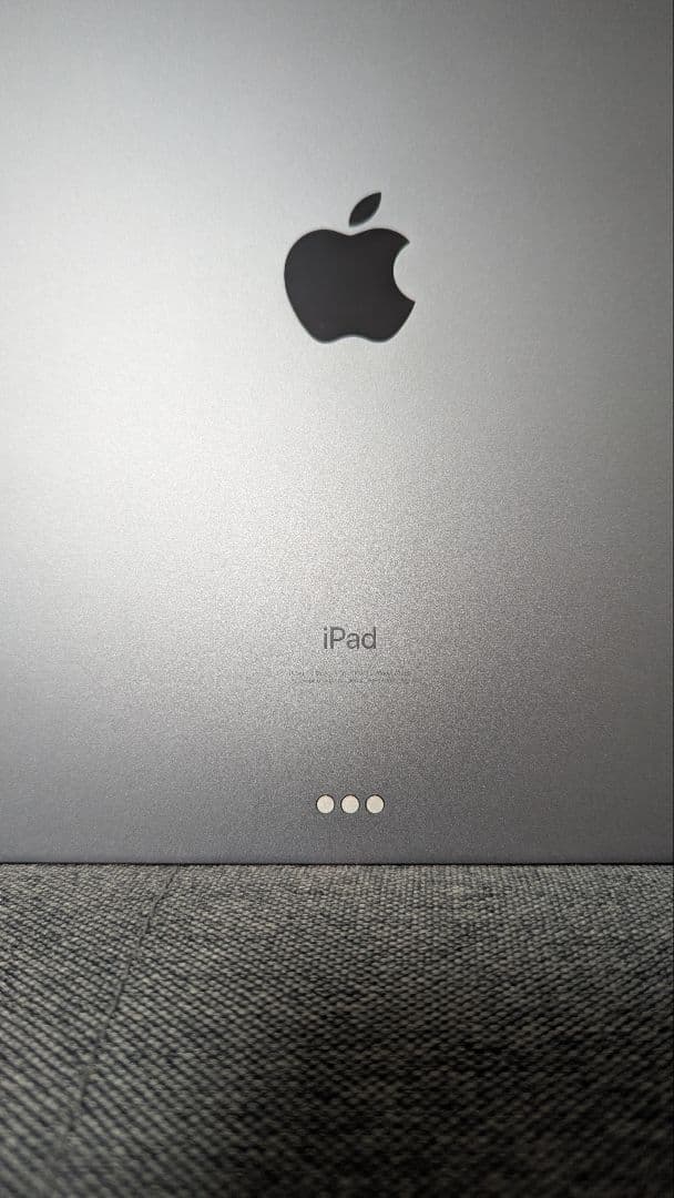 iPad Pro 11\" 第1世代 256 GB+ケース+Apple Pen