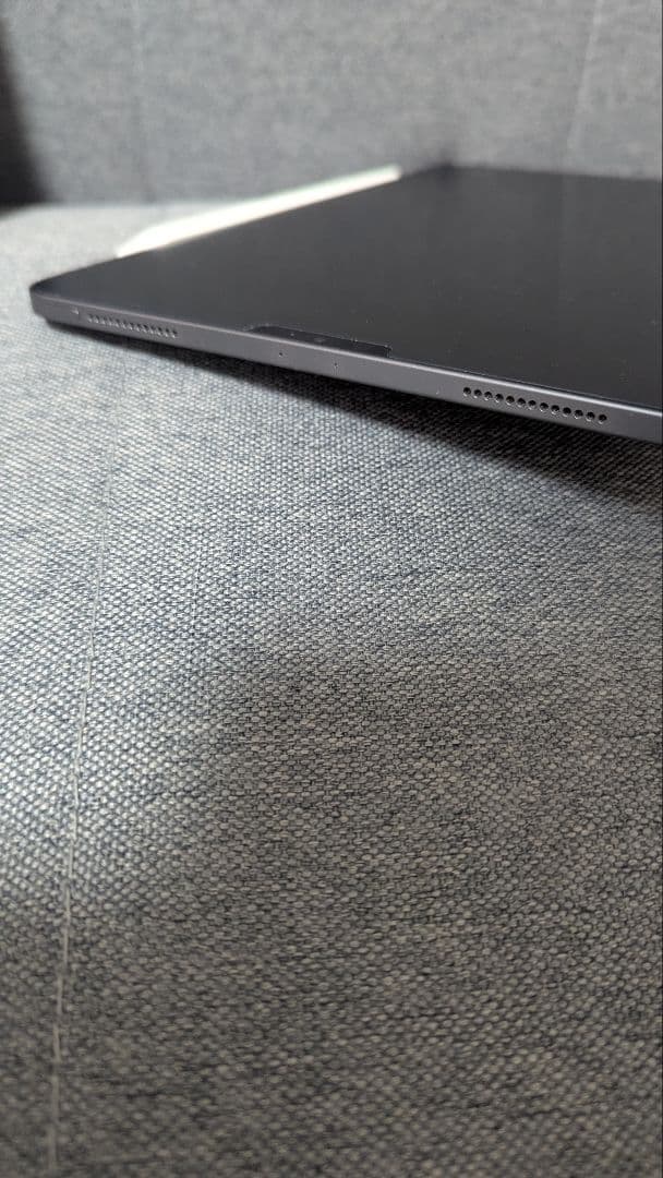 iPad Pro 11\" 第1世代 256 GB+ケース+Apple Pen