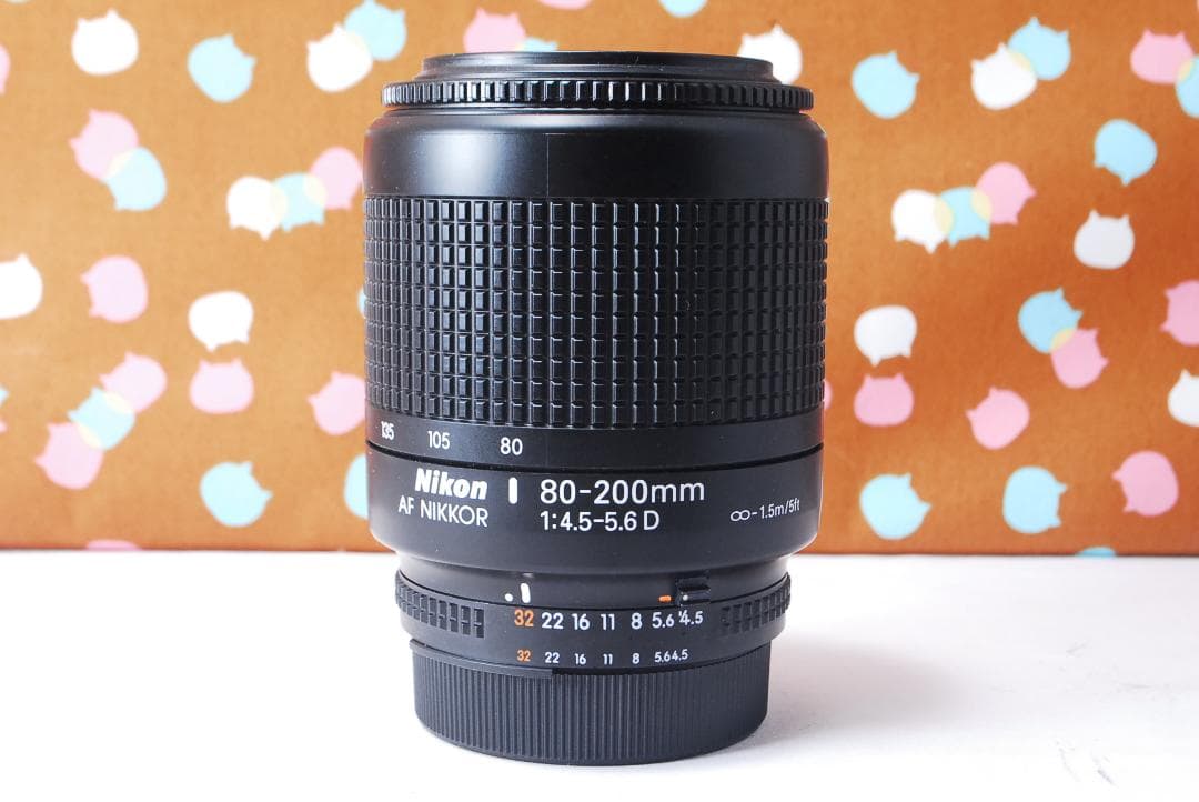 ✨美品✨ハイアマチュア機✨Nikon D100 レンズセット