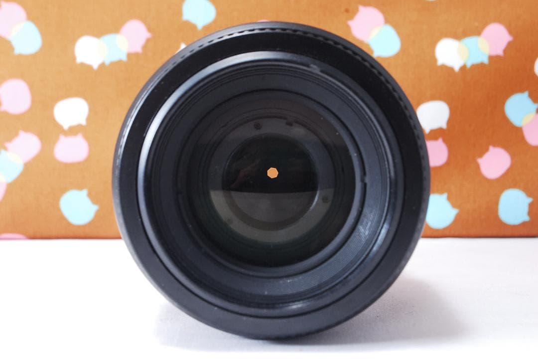 ✨美品✨ハイアマチュア機✨Nikon D100 レンズセット