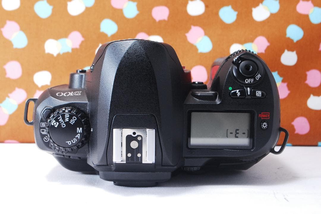 ✨美品✨ハイアマチュア機✨Nikon D100 レンズセット